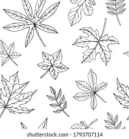 Autumn leaves seamless vector pattern. Falling colorful leaves. Autumnal background. Perfect for seasonal and Thanksgiving Day, greeting cards, textile, wrapping.