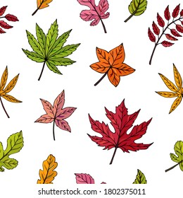 Autumn leaves seamless vector pattern. Falling colorful leaves. Autumnal background. Perfect for seasonal and Thanksgiving Day, greeting cards, textile, wrapping.