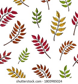 El otoño deja un patrón vectorial sin fisuras. Caer hojas coloridas. Fondo otoñal. Perfecto para la temporada y el día de Acción de Gracias, tarjetas de felicitación, textiles, envoltura.
