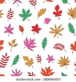 Autumn leaves seamless vector pattern. Falling colorful leaves. Autumnal background. Perfect for seasonal and Thanksgiving Day, greeting cards, textile, wrapping.