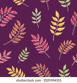 El otoño deja un patrón vectorial sin fisuras. Caer hojas coloridas. Fondo otoñal. Perfecto para la temporada y el día de Acción de Gracias, tarjetas de felicitación, textiles, envoltura.