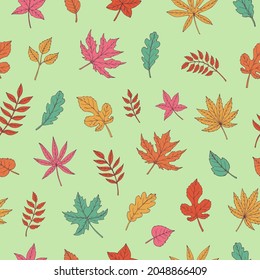 Autumn leaves seamless vector pattern. Falling colorful leaves. Autumnal background. Perfect for seasonal and Thanksgiving Day, greeting cards, textile, wrapping.