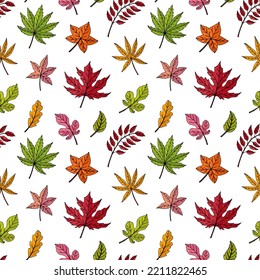 Autumn leaves seamless vector pattern. Falling colorful leaves. Autumnal background. Perfect for seasonal and Thanksgiving Day, greeting cards, textile, wrapping.