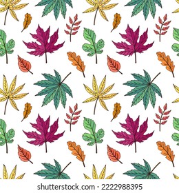 Autumn leaves seamless vector pattern. Falling colorful leaves. Autumnal background. Perfect for seasonal and Thanksgiving Day, greeting cards, textile, wrapping.  
