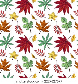 Autumn leaves seamless vector pattern. Falling colorful leaves. Autumnal background. Perfect for seasonal and Thanksgiving Day, greeting cards, textile, wrapping.  