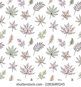 Autumn leaves seamless vector pattern. Falling colorful leaves. Autumnal background. Perfect for seasonal and Thanksgiving Day, greeting cards, textile, wrapping.