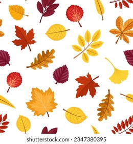 El otoño deja un patrón vectorial sin fisuras. Antecedentes de varias hojas de otoño: arce, roble, abedul y otros árboles.