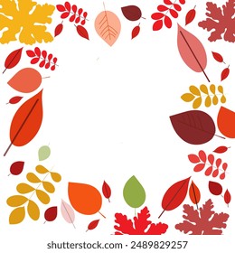 autumn leaves, season, plant, background frame yellow, orange