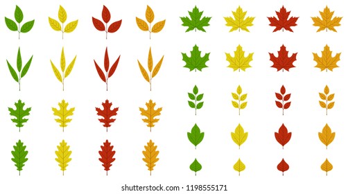 Autumn leaves set