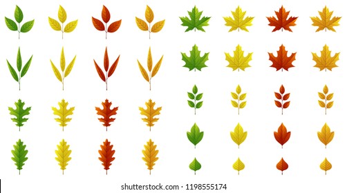 Autumn leaves set