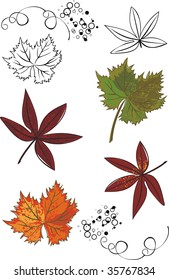 autumn leaves set