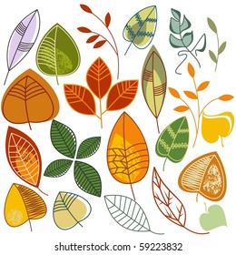 Autumn leaves set
