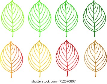 Autumn leaves set