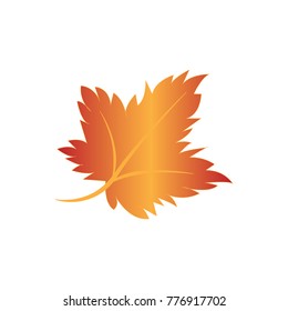Autumn Leaves Set