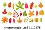 Autumn leaves set. Abstract fall forest foliage elements, botanical decorative green yellow red leaf icons, wood and garden trees leaves. Vector isolated collection.