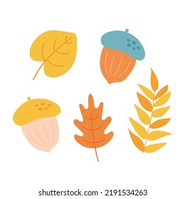 Autumn leaves set, acorns on white background