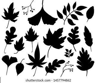 Herbstblätter gesetzt. Schwarze Blattsilhouetten einzeln auf weißem Hintergrund. Grafische Elemente für Herbstdesigns