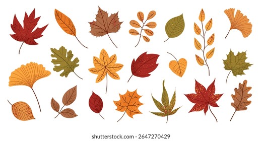Autumn leaves set. Collection of colorful fall foliage: maple, oak, ginkgo, chestnut, and rowan tree leaves. Hand-drawn vector illustration in warm seasonal colors. Isolated on white background.