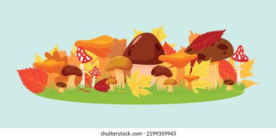 Autumn leaves set. Cute different leaves, mushrooms. Fall seasonal elements vector illustration