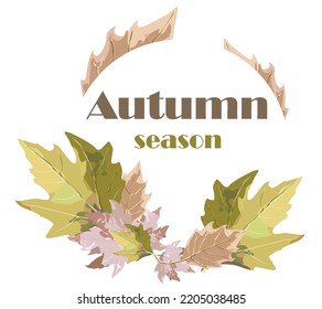 Autumn leaves set different colors on white blank background with text: Autumn season