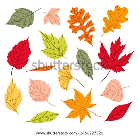 Autumn leaves. Set different leaves of maple, oak and other trees. Autumn decoration in flat style. Yellow, red, orange fall leaf for pattern, banner, sticker. Hello autumn.