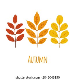 Autumn leaves set. Fall foliage in red, orange, yellow colors on white background. Template for greeting card, poster, flyer, leaflet, other designs. Vector illustration.