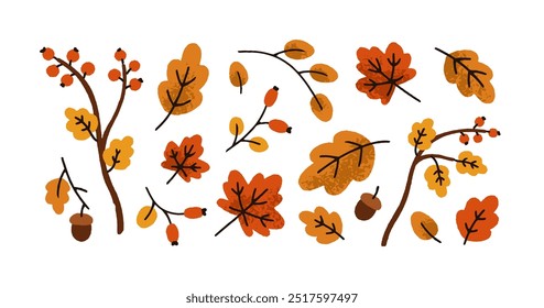 Autumn leaves set. Fall leaf, acorn, berries, forest foliage, branches and twigs. Botanical seasonal decorations. Natural decorative elements. Flat vector illustration isolated on white background