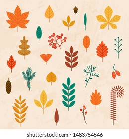 Autumn leaves set. Flat design modern vector illustration concept.
