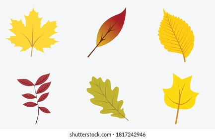 Herbstblätter setzen flaches Design Moderne Vektorgrafik Konzept Stockillustration