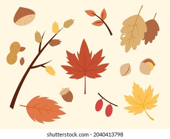 Autumn leaves set. flat design style vector illustration.