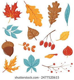 Hojas de otoño Ilustración vectorial de diseño plano en estilo dibujado a mano, arce, roble, hoja, bellota, physalis