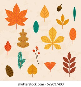 Autumn leaves set. Flat design modern vector illustration concept.