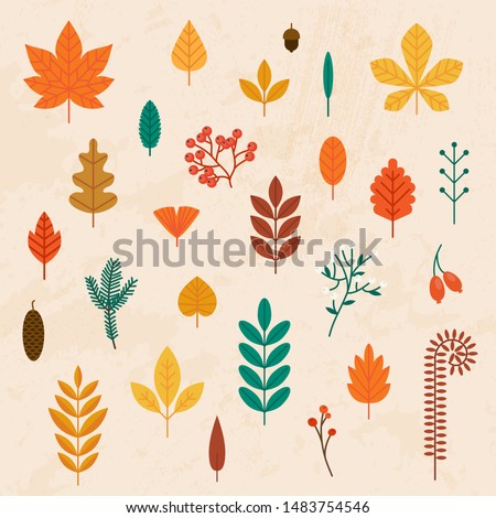 Autumn leaves set. Flat design modern vector illustration concept.