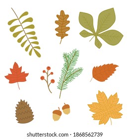 Hojas de otoño con diseño plano.Ilustración vectorial de la colección de hojas de otoño con diseño plano.