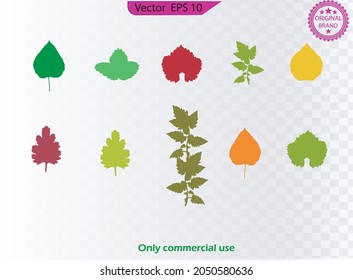 Autumn leaves set. Flat style.  Design for stickers, logo, web and mobile app. Set of colorful autumn leaves and berries.  Autumn design element.