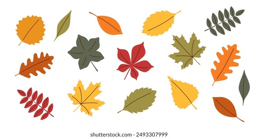 Autumn leaves set. Autumn leaves in flat style isolated on white.