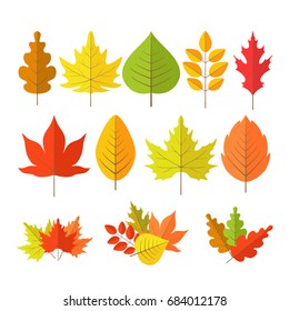 autumn leaves set in flat style on white background