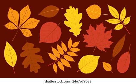 Autumn leaves set. Flat vector isolated illustration