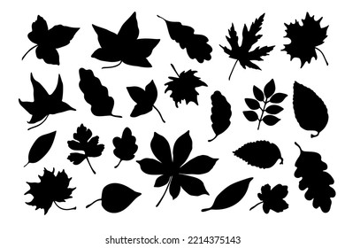 Autumn leaves set, hand drawn doodle celebration decor for seasonal, Thanksgiving, Halloween festive mood decoration and family gatherings, simple silhouette, minimalist concept