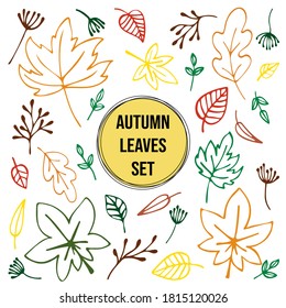 Autumn leaves set hand-drawn. Decorative leaves in vibrant seasonal colors. Vector illustration.