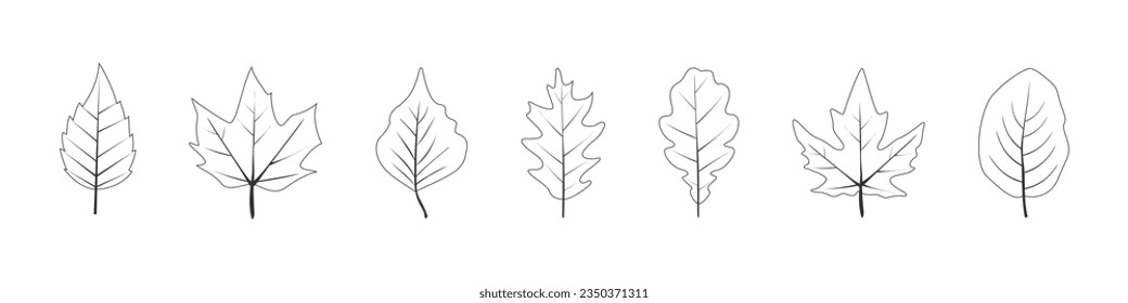 Hojas de otoño. Deja el conjunto de iconos. Estilo plano.