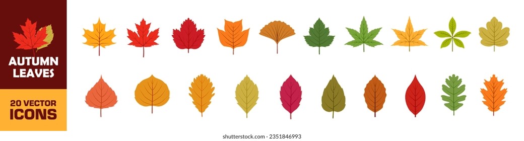 Autumn leaves set. Leaves icon set. Flat style.