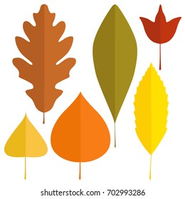 Autumn leaves set. Leaves icon. Flat vector illustration.