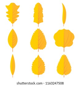 Autumn leaves set icon vector design illustration. 