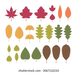 Autumn Leaves Set. Isolated Colorful Vector Illustration on White Background.