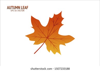 Autumn leaves set. Isolated leaf vector icon on white background. Colorful flat illustration can use for banner, flyer, textile, print, surface, fabric design