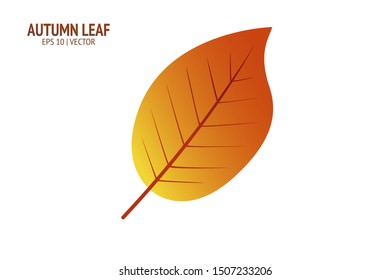 Autumn leaves set. Isolated leaf vector icon on white background. Colorful flat illustration can use for banner, flyer, textile, print, surface, fabric design