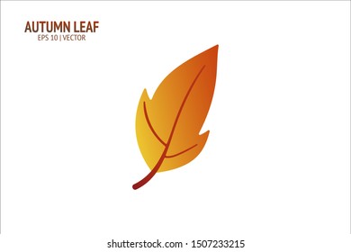Autumn leaves set. Isolated leaf vector icon on white background. Colorful flat illustration can use for banner, flyer, textile, print, surface, fabric design