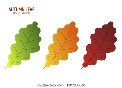 Autumn leaves set. Isolated leaf vector icon on white background. Colorful flat illustration can use for banner, flyer, textile, print, surface, fabric design