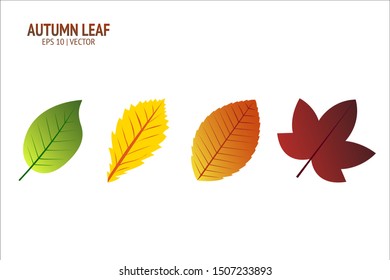 Autumn leaves set. Isolated leaf vector icon on white background. Colorful flat illustration can use for banner, flyer, textile, print, surface, fabric design